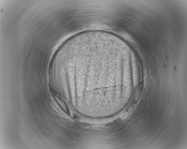 X0000052571280200507291957