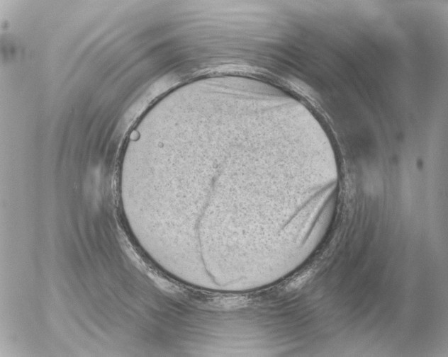 X0000052571282200507291957