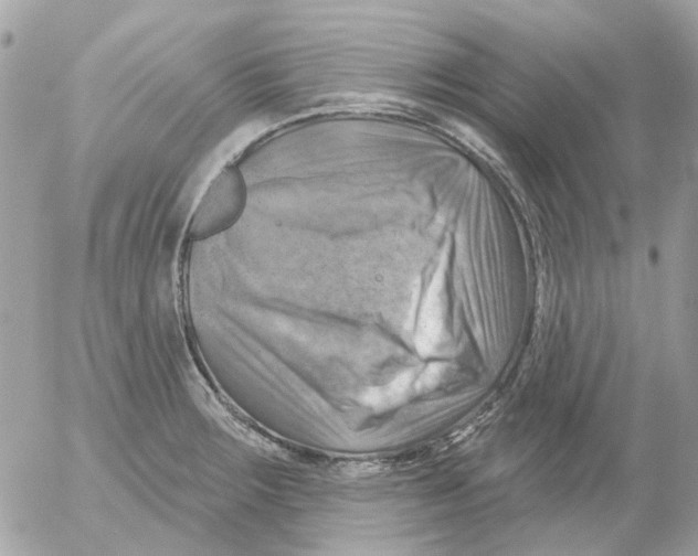 X0000052571283200507291957