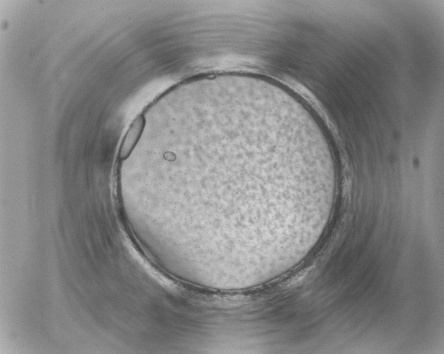 X0000052571285200507291957