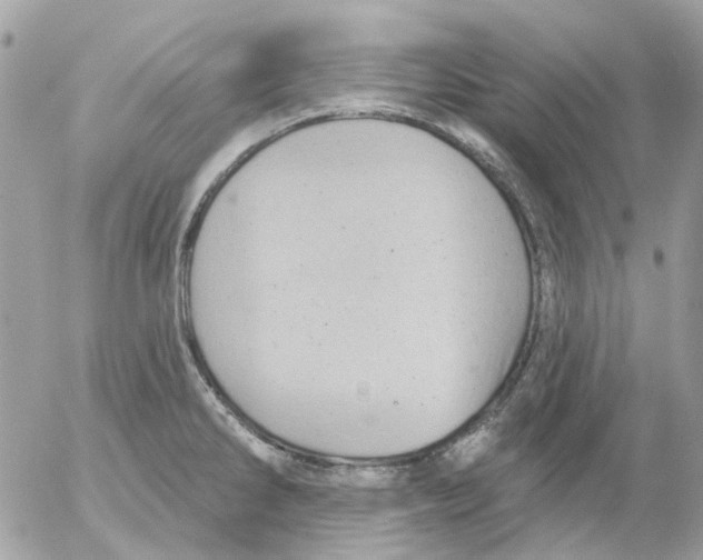 X0000052571286200507291957