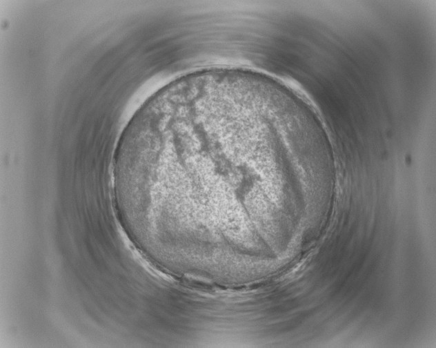 X0000052571287200507291957