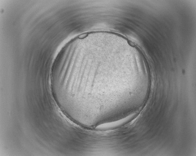 X0000052571288200507291957