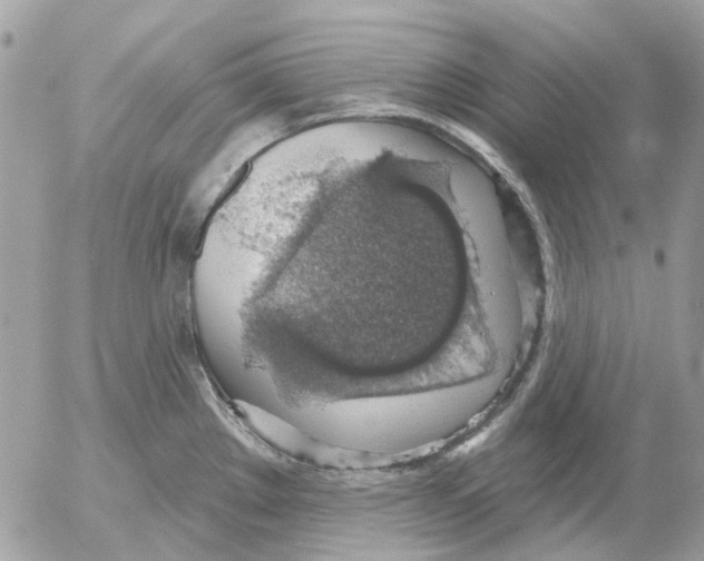 X0000052571289200507291957