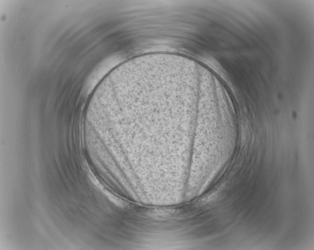 X0000052571290200507291957