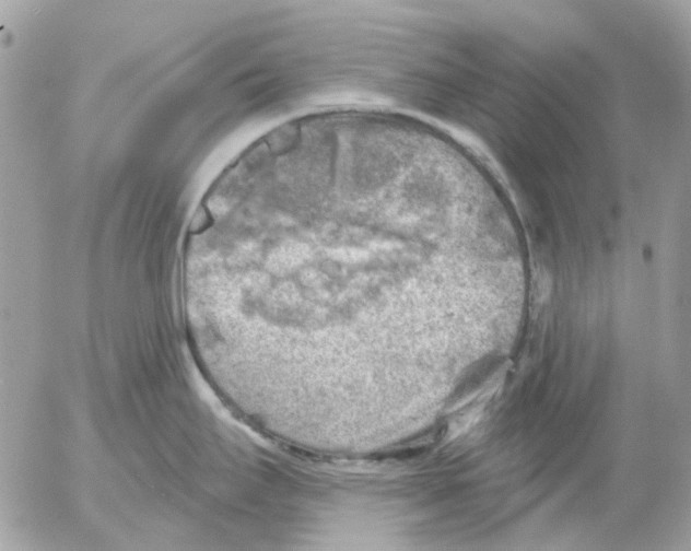 X0000052571295200507291957