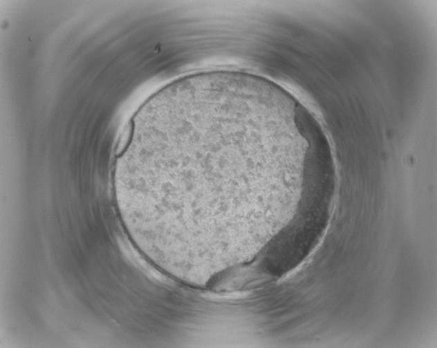 X0000052571296200507291957