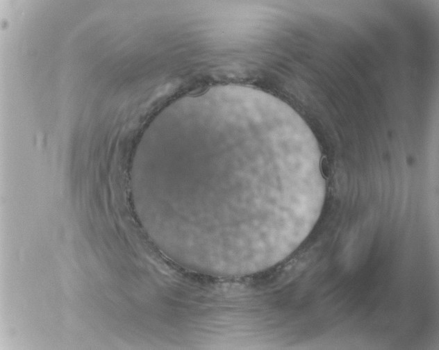 X0000052571297200507291956