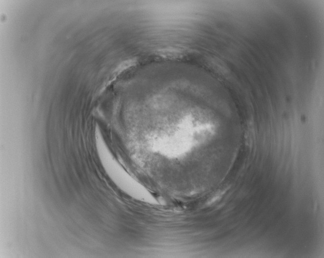 X0000052571298200507291956