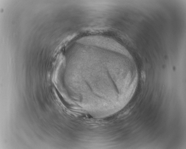 X0000052571300200507291956