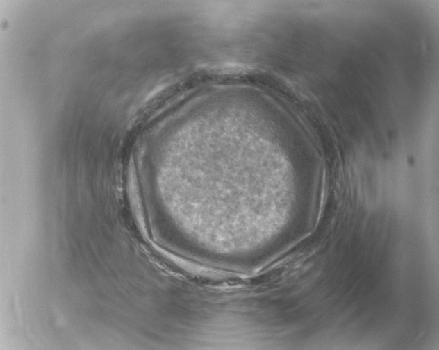 X0000052571301200507291956