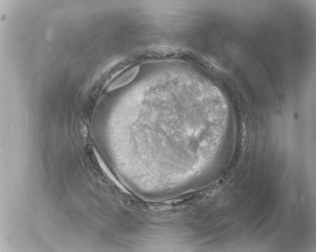 X0000052571302200507291956