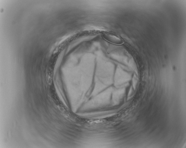 X0000052571303200507291956