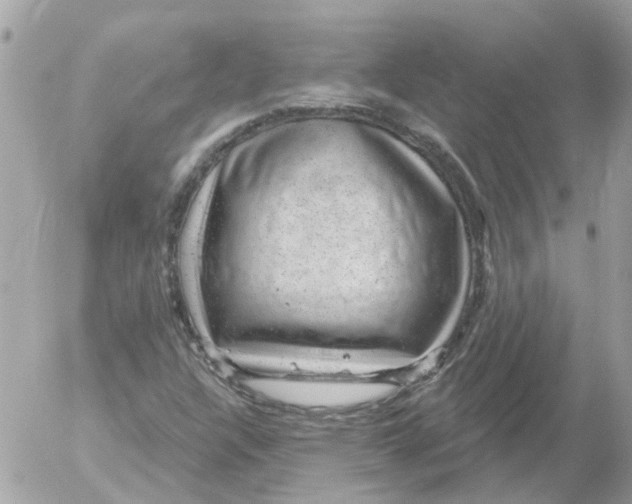 X0000052571304200507291956