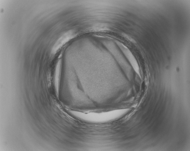 X0000052571306200507291956