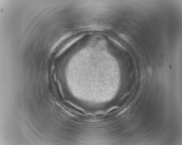 X0000052571307200507291956