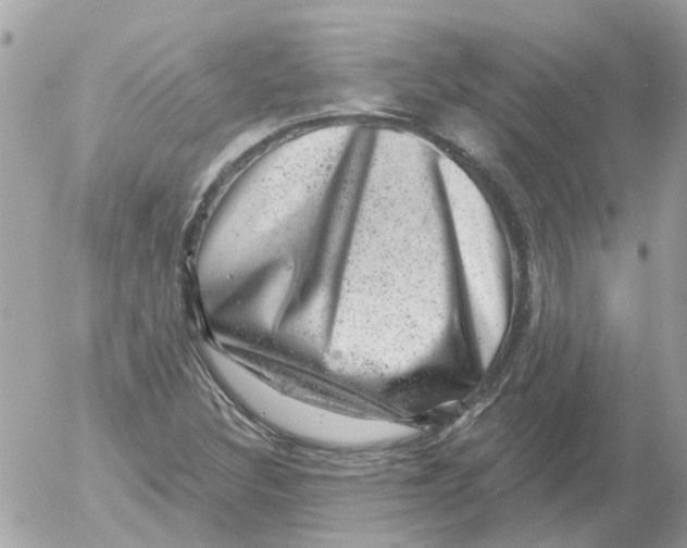 X0000052571308200507291956