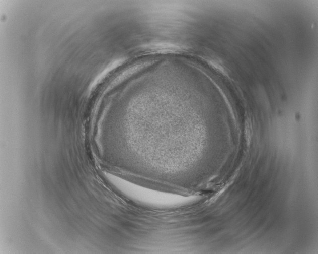 X0000052571309200507291956