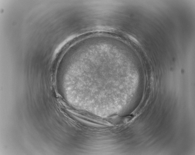 X0000052571310200507291956