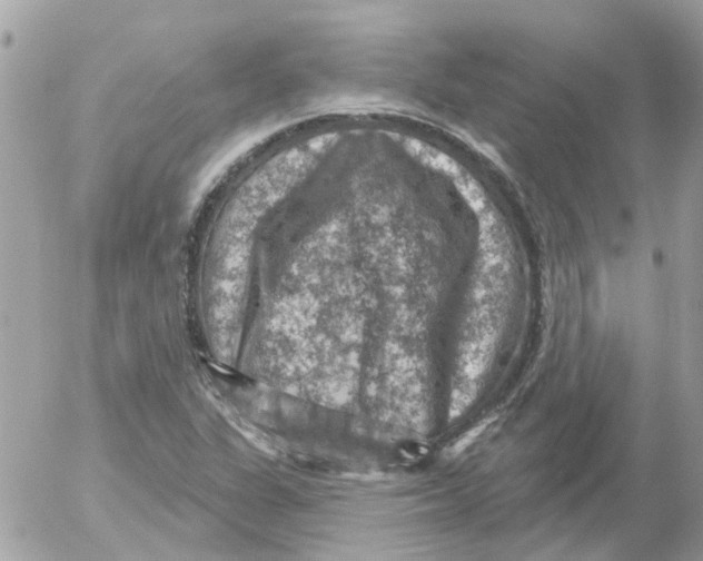 X0000052571311200507291956