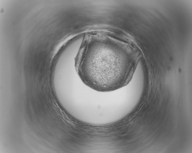 X0000052571312200507291956