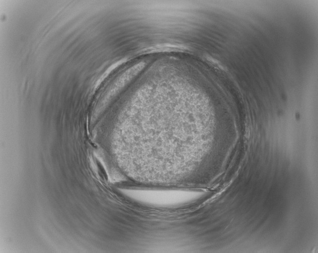 X0000052571313200507291956