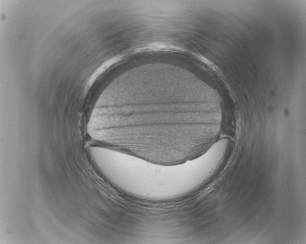 X0000052571314200507291956