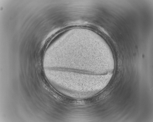 X0000052571315200507291956