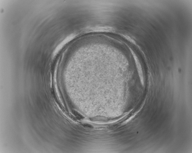 X0000052571317200507291956