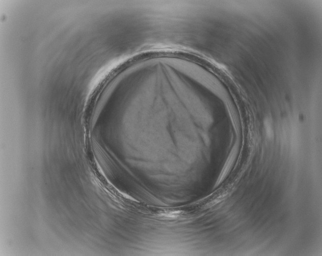 X0000052571319200507291956