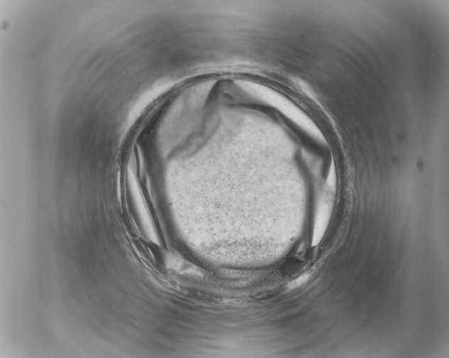 X0000052571320200507291956