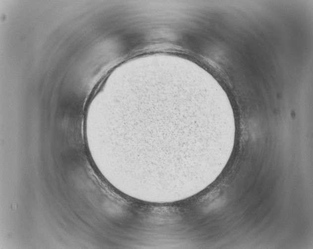 X0000052571322200507291956