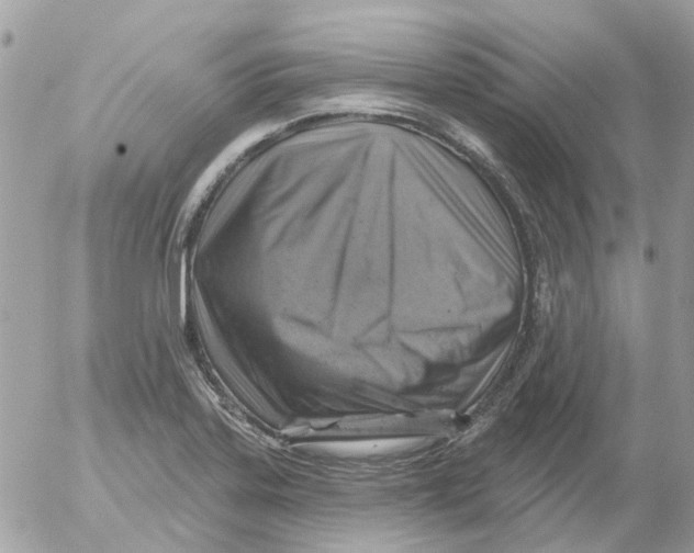 X0000052571323200507291956