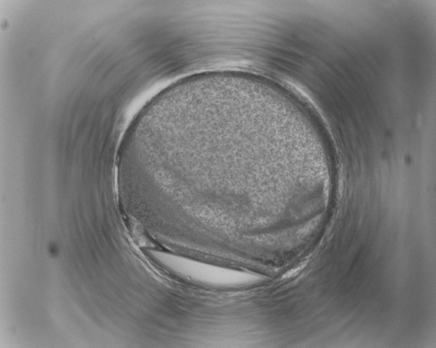 X0000052571324200507291956