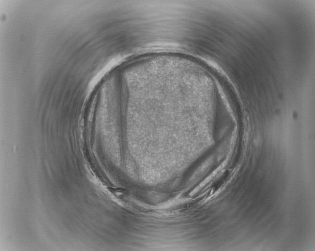 X0000052571325200507291956