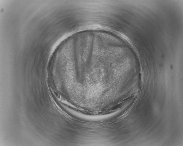 X0000052571326200507291956