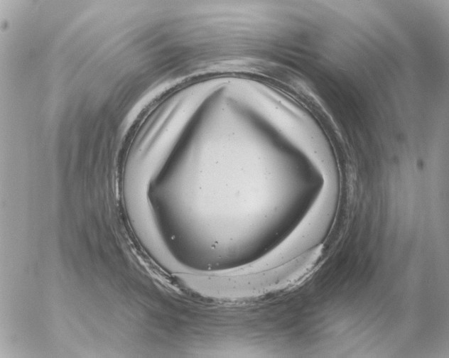 X0000052571328200507291956