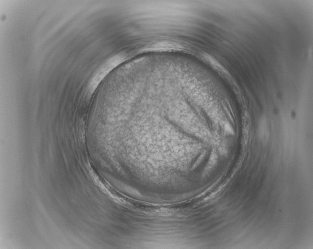 X0000052571329200507291956