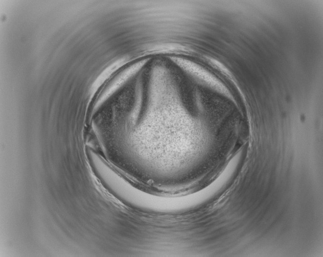 X0000052571330200507291956