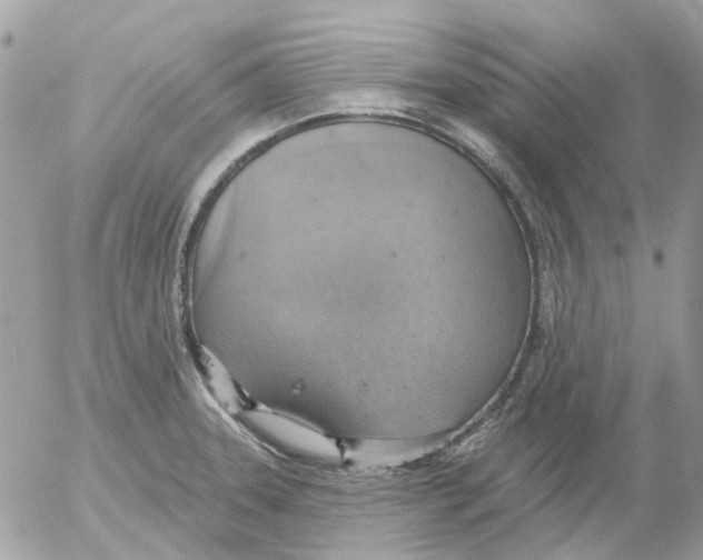 X0000052571331200507291956