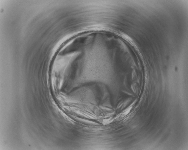 X0000052571334200507291957