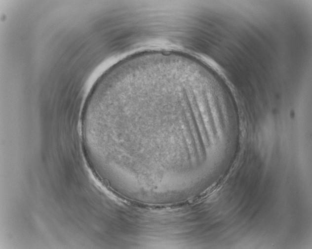 X0000052571335200507291957