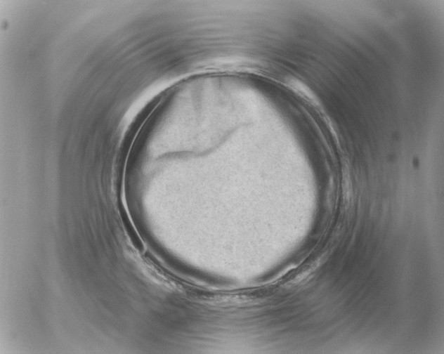 X0000052571336200507291957