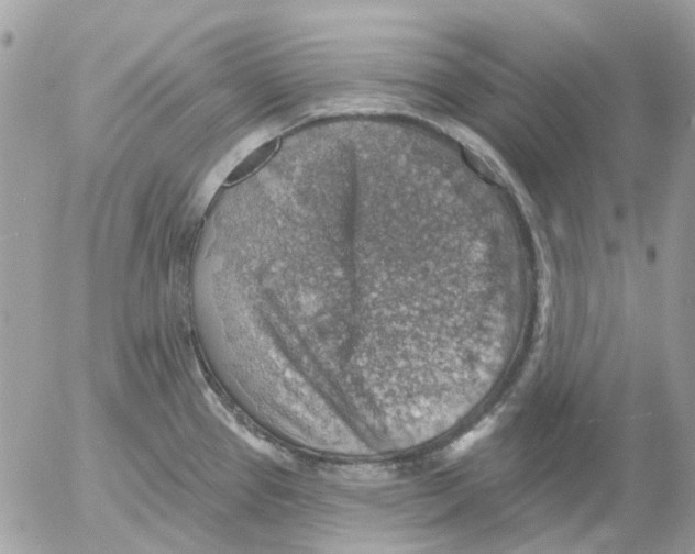 X0000052571337200507291957