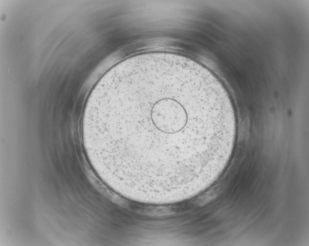 X0000052571338200507291957