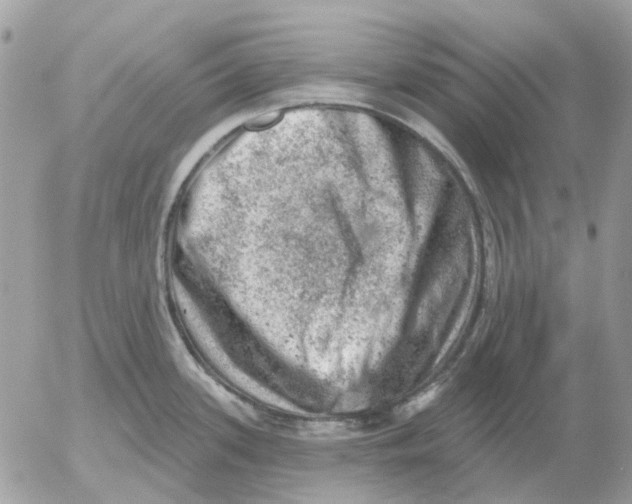 X0000052571339200507291957