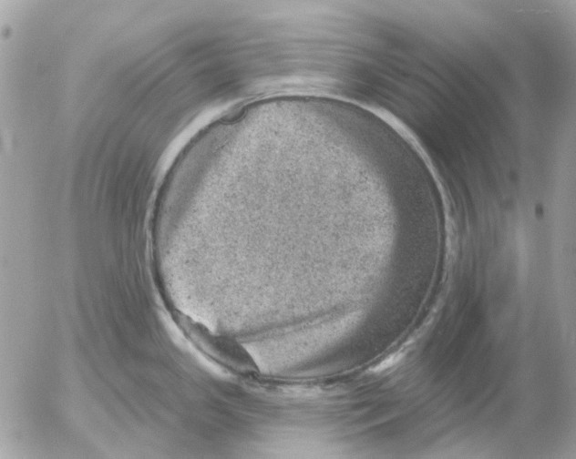 X0000052571341200507291957