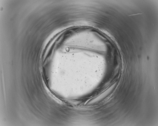 X0000052571342200507291957