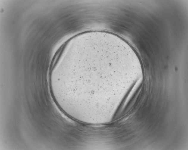 X0000052571343200507291957