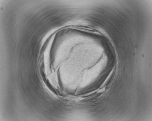 X0000052571344200507291957